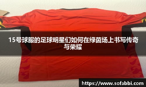 15号球服的足球明星们如何在绿茵场上书写传奇与荣耀