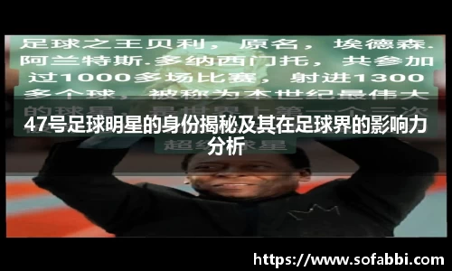 im电竞平台官网