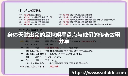 im电竞平台官网